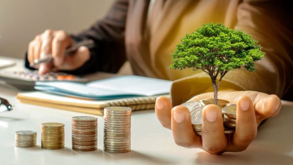 Kassa voor de massa: zo explodeerde de Nederlandse crowdfundmarkt